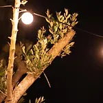 شاليه I Loft Viana فيانا دو كاستيلو